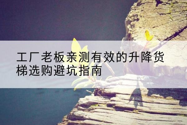 巴彦升降货梯怎么选-工厂老板亲测有效的升降货梯选购避坑指南