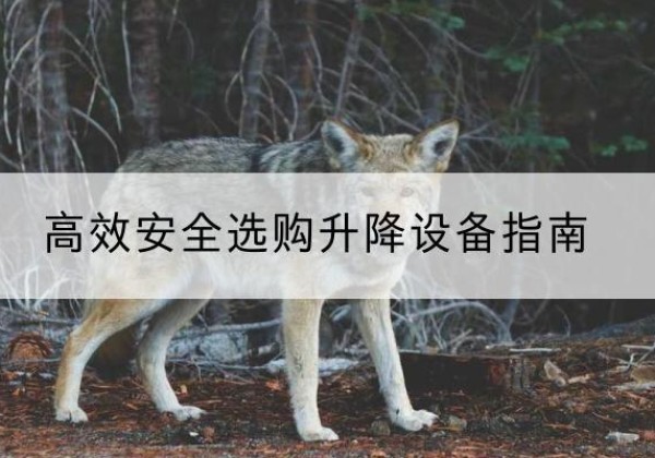 巴彦升降货梯厂家推荐-*安全选购升降设备指南