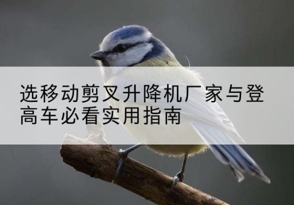 巴彦电动升降机厂家-选移动剪叉升降机厂家与登高车必看实用指南
