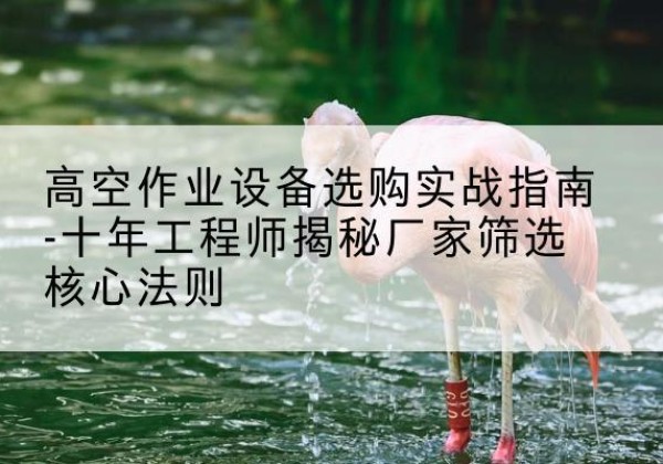 巴彦剪叉式升降机厂家-高空作业设备选购实战指南-十年工程师揭秘厂家筛选核心法则