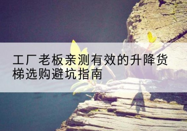 巴彦升降货梯怎么选-工厂老板亲测有效的升降货梯选购避坑指南